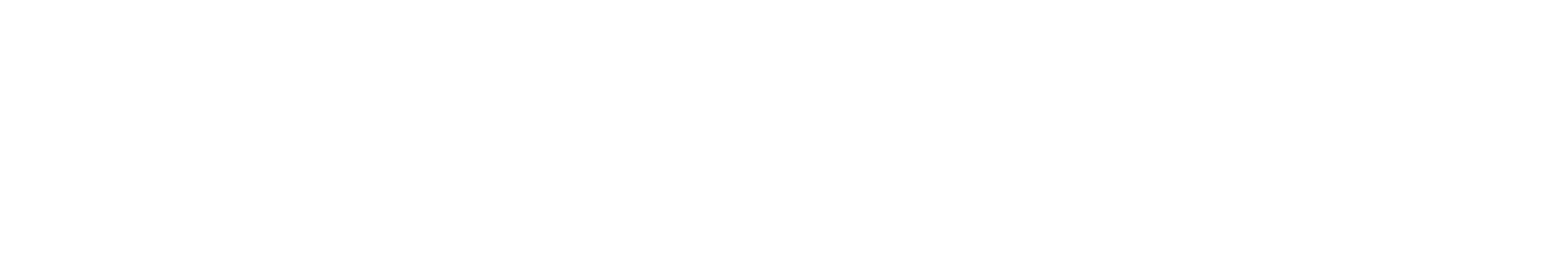Poeta George Lima
